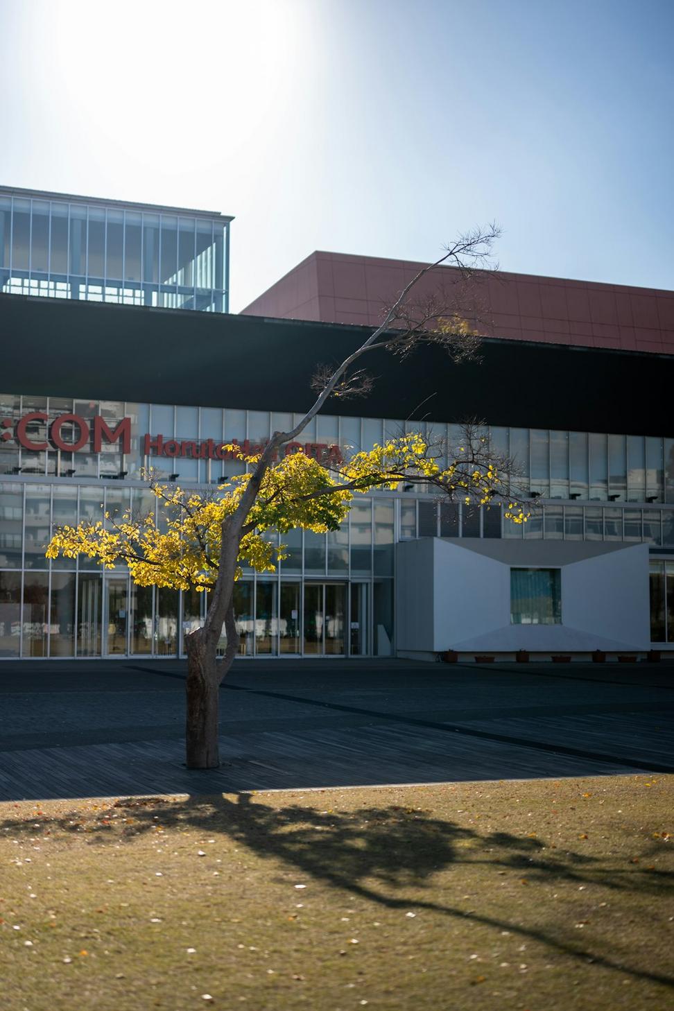 Business Conference Center